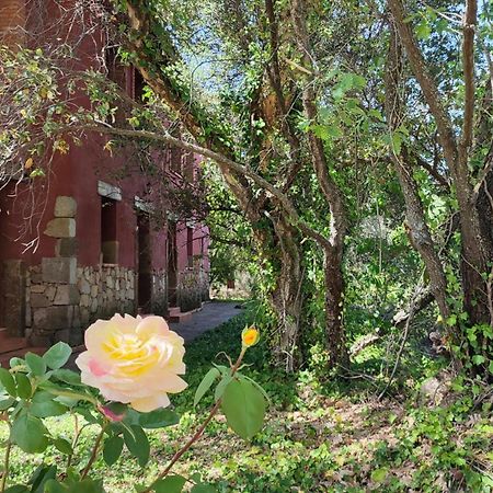 חרז דה לה ורה Apartamentos Rurales La Oropendola מראה חיצוני תמונה