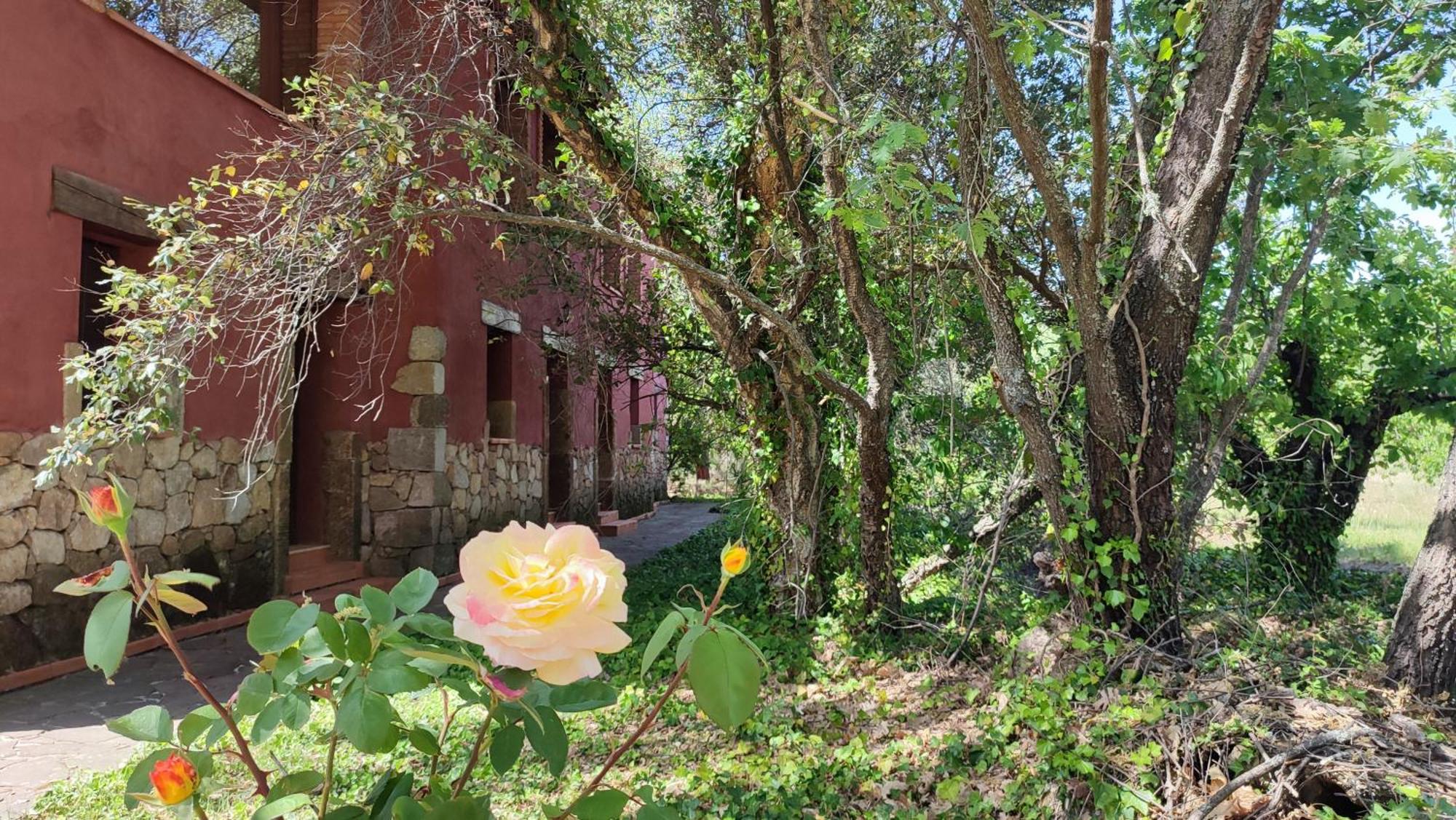 חרז דה לה ורה Apartamentos Rurales La Oropendola מראה חיצוני תמונה