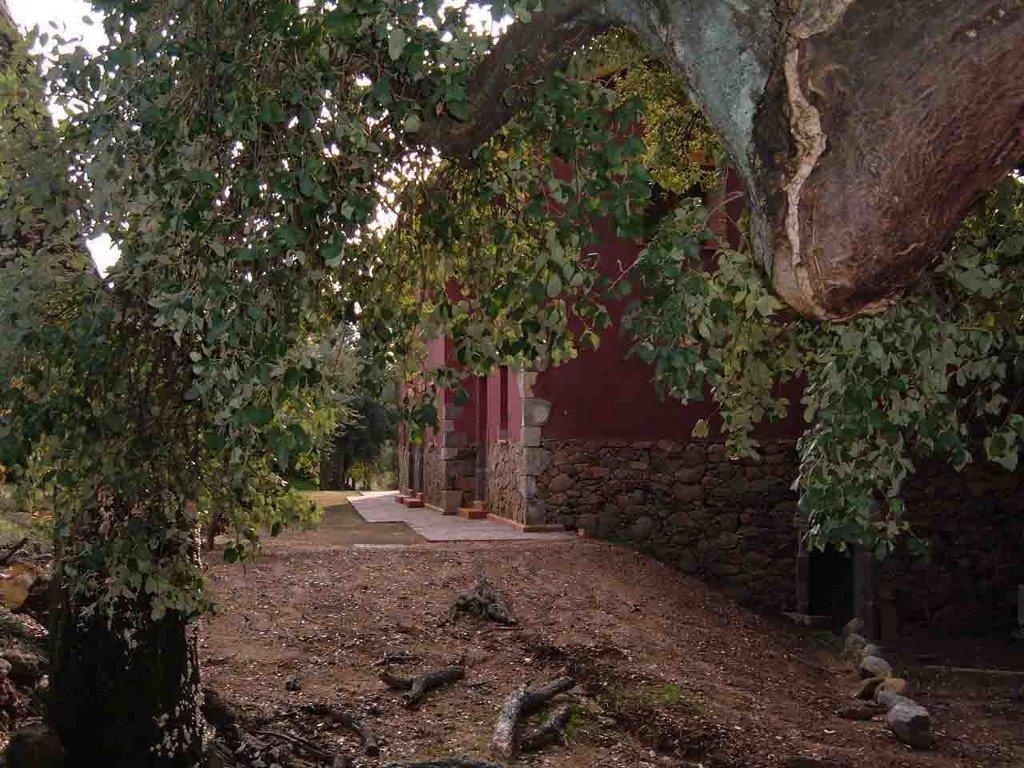 חרז דה לה ורה Apartamentos Rurales La Oropendola מראה חיצוני תמונה